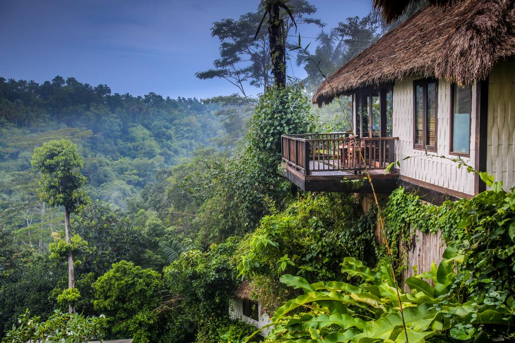 A Hotelier in Bali  turns Jungle into a Luxury Facility 